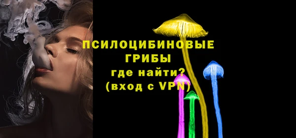 Альфа ПВП Горнозаводск