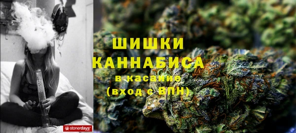 тгк Горно-Алтайск