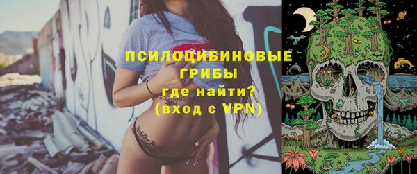 тгк Горно-Алтайск