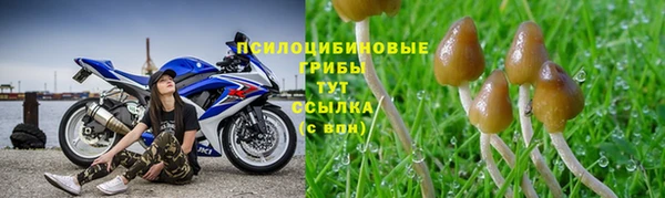 Альфа ПВП Горнозаводск