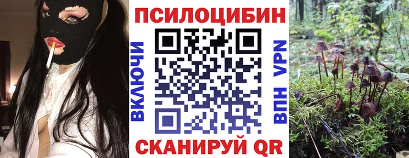 Галлюциногенные грибы ЛСД  Купить где  Каменка 