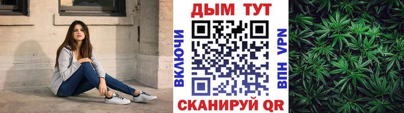 Купить закладки  Каменка  Конопля семена 